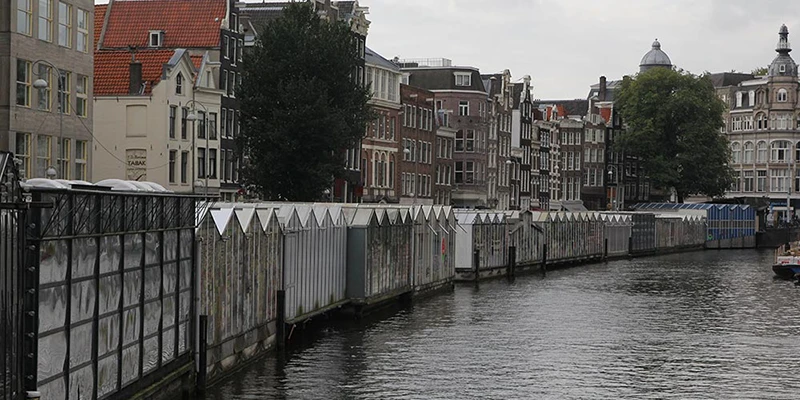 Singel flowers