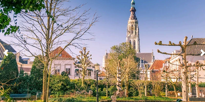 Breda willem gdn