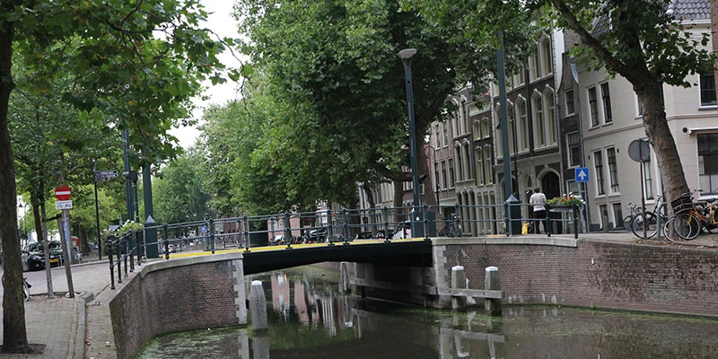 Gouda