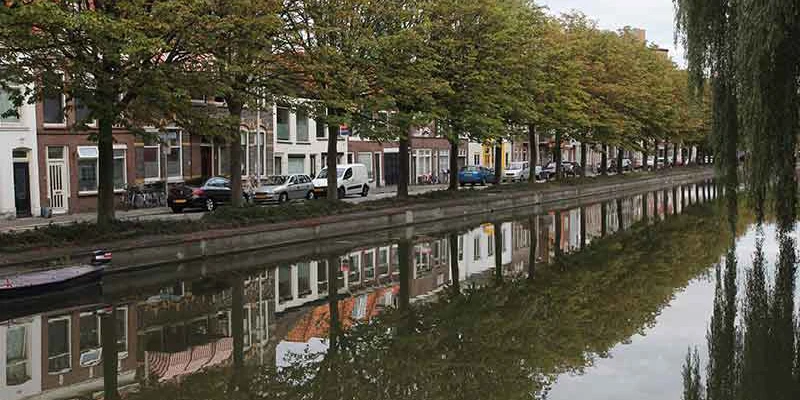 Gouda
