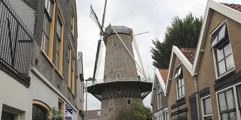 Gouda ff