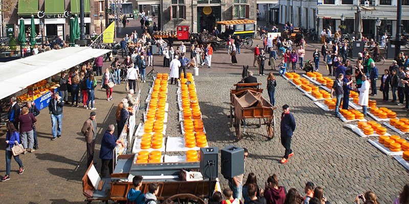 Vvv kaasmarkt de waag1