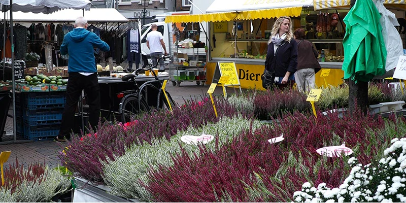 Haarlem market (50a)