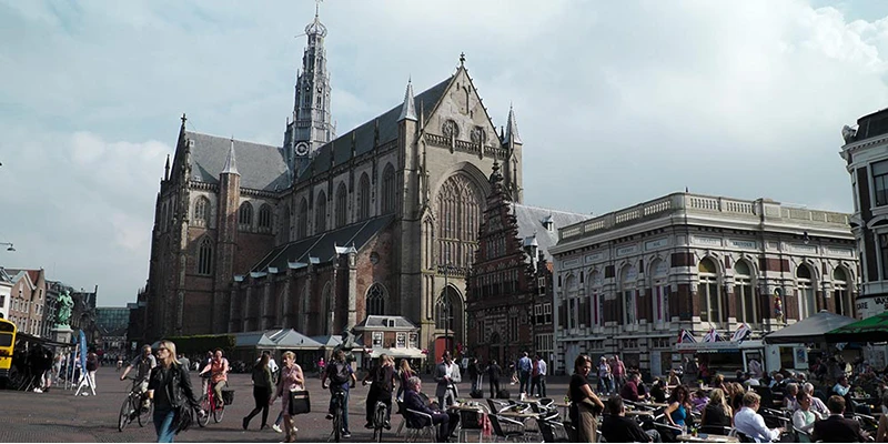Dom