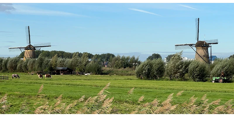 Kinderdijk (59)
