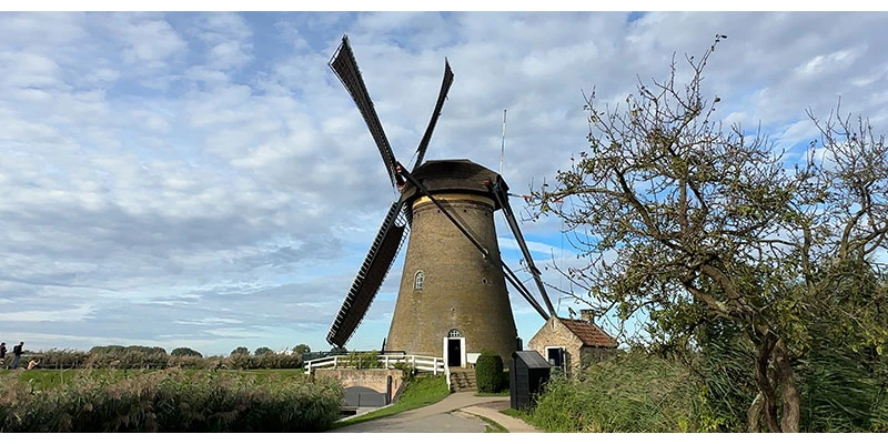 Kinderdijk (68)