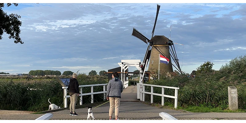 Kinderdijk (69)