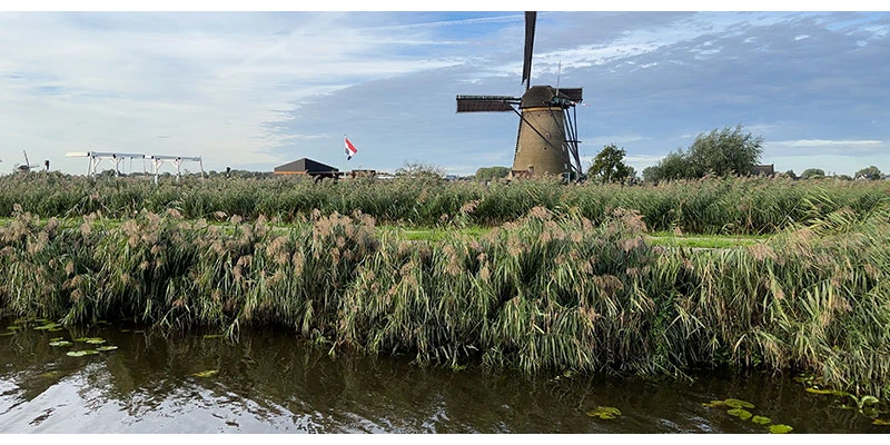 Kinderdijk (80)