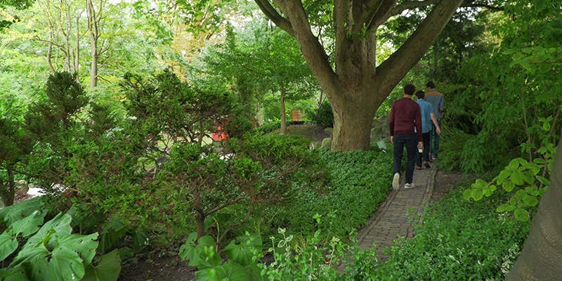 Botanicus (2)