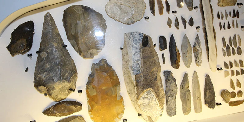 History museum (23)