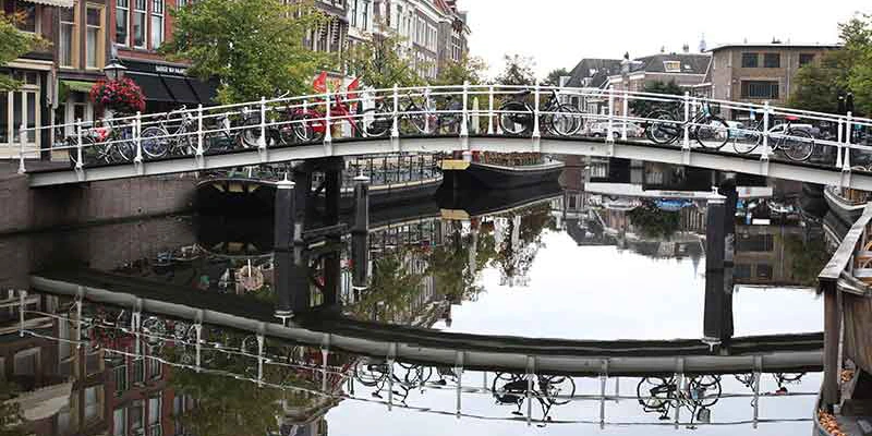 Leiden leiden