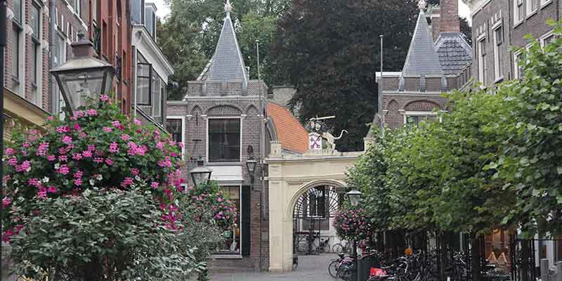Leiden leiden