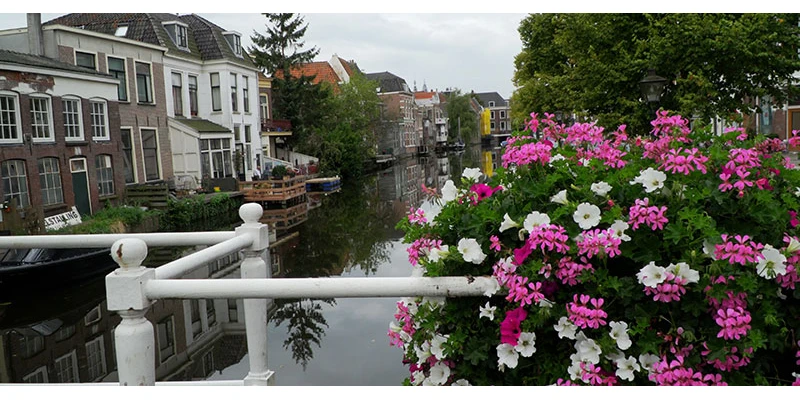 Leiden walking tour 00 00 50 00 still458