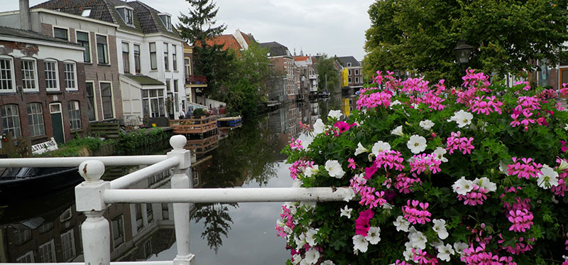 Летящите холандци и другите от ниските земи Leiden-Walking-Tour.00_00_50_00.Still458