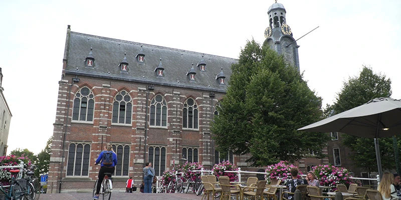 University (37)
