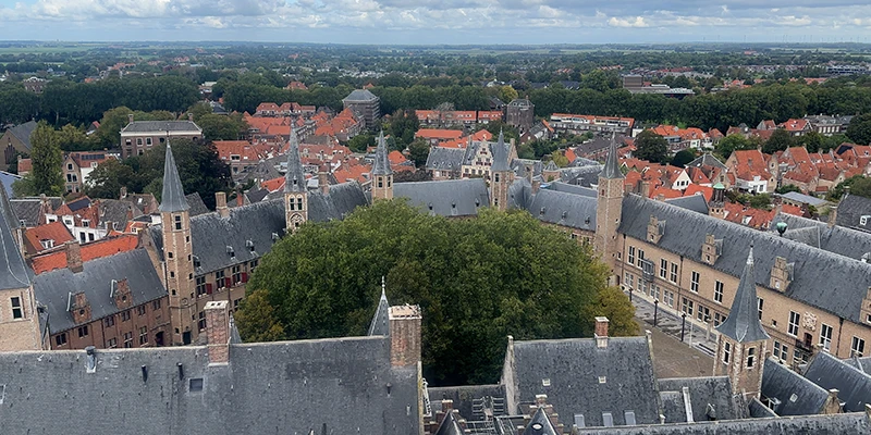 view from tower looking down at abbey