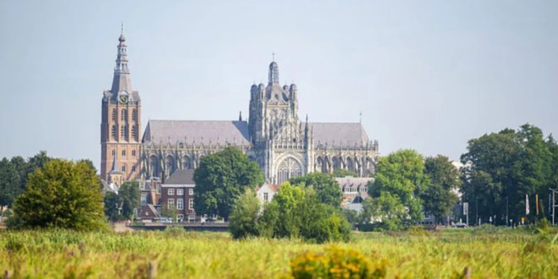 Bosch ti sint jan kathedraal