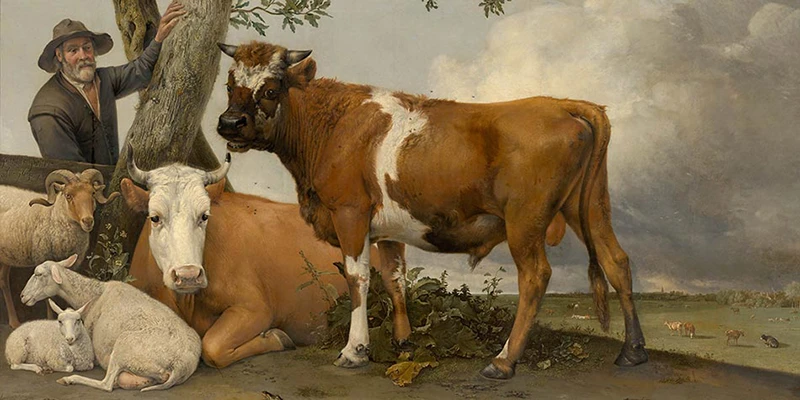Thebull
